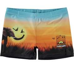 Norton Placed Swimwear